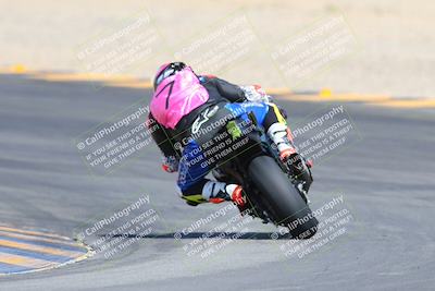 media/Mar-10-2024-SoCal Trackdays (Sun) [[6228d7c590]]/9-Turn 8 Backside (1150am)/